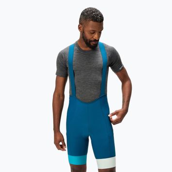 Herren Endura Loop Bibshort Radfahren Shorts barra blau
