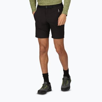 Herren Regatta Xert Stretch III Trekking-Shorts schwarz