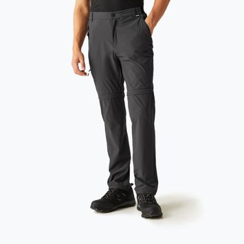 Trekkinghose Herren REGATTA Travel Light Z/O Packaway ash