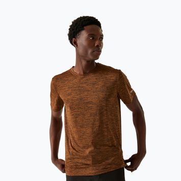 Trekking-Shirt Herren REGATTA Fingal Edition fox