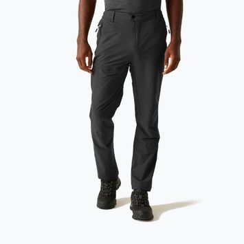 Herren-Trekkinghose REGATTA Highton II ash