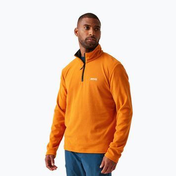 Fleece Sweatshirt Herren REGATTA Thompson fox