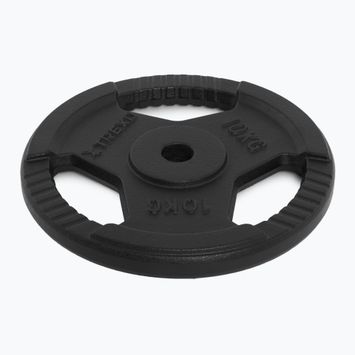 Gusseisen Gewicht XTREXO TRX-ICP010 10 kg Chrom