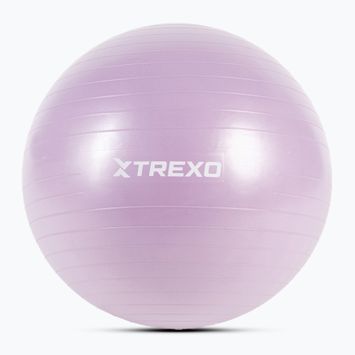 Gymnastikball TREXO TXO-B4Z008-VT 65 cm Lila