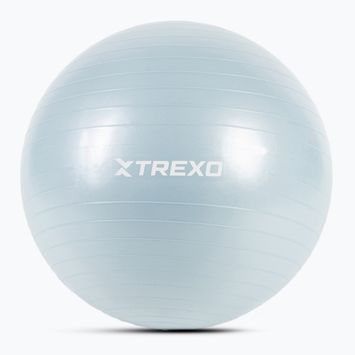 Gymnastikball TREXO TXO-B4Z008-BL 65 cm Blau