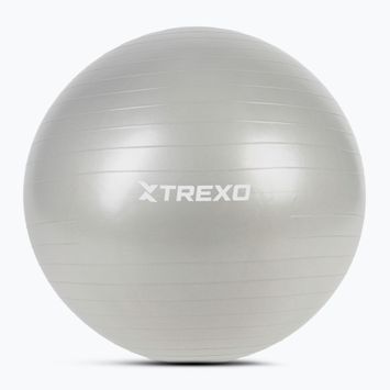 TREXO Gymball TXO-B4Z009-GY 75 cm grau