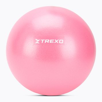 Mini Gymnastikball TREXO TXO-B4Z010-PK 20 cm Rosa