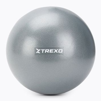 Mini Gymnastikball TREXO TXO-B4Z010-GY 20 cm Grau