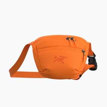 Arc'teryx Mantis 1 1,5 l Verve-Beutel