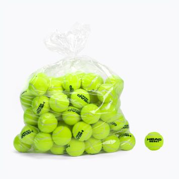 HEAD Reset Polybag Tennisbälle 72 Stück grün 575030