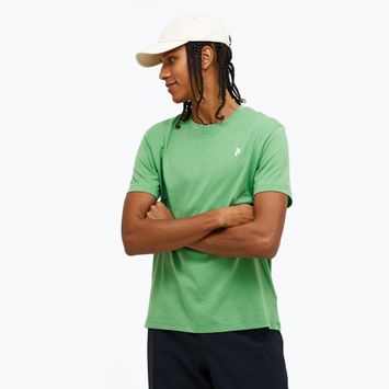 Peak Performance Herren Explore Grafik Pfefferminz-T-Shirt