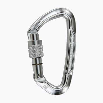Klettern Technologie Lime SG Karabiner Silber