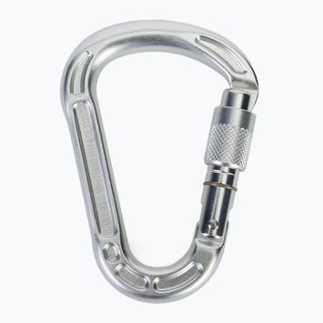 Klettern Technologie Konzept SG Karabiner Silber