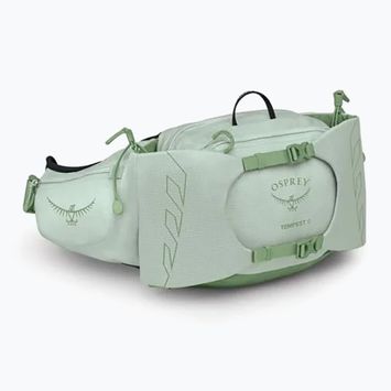 Bauchtasche Osprey Tempest 6 l frosty mint/ green botanica