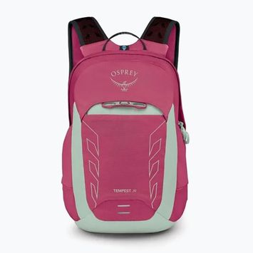Wander Rucksack Kinder Osprey Talon Jr 11 l hotspot pink