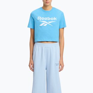 Shirt Damen Reebok Identity Big Logo Crop Tee recovery blue