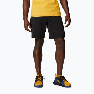 Herren Columbia Logo Fleece Trekking-Shorts schwarz 1884601010