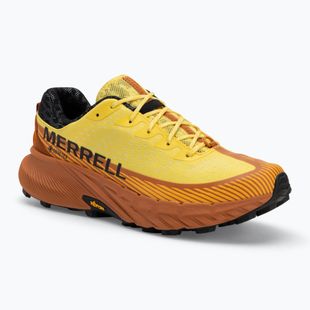Merrell Agility Peak 5 GTX Herren Laufschuhe Narzisse