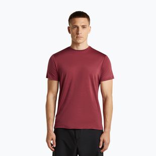 Herren-Trekkingshirt icebreaker Merino 125 Cool-Lite Sphere III port