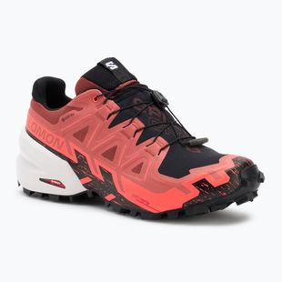 Herren-Laufschuhe Salomon Spikecross 6 GTX Rindsleder/Schwarz/Neonflamme