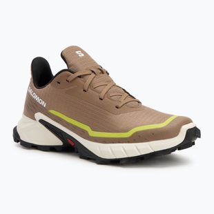 Laufschuhe Herren Salomon Alphacross 5 caribou/canteen/ sulphr