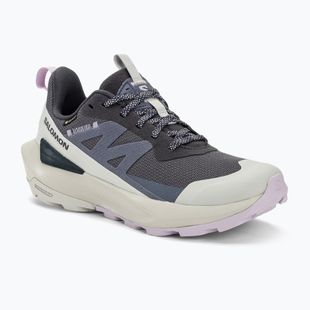 Salomon Elixir Activ GTX Damen Wanderschuhe india ink/glacier gray/orchid petal