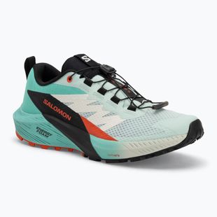 Laufschuhe Damen Salomon Sense Ride 5 bay/black/cherry tomato