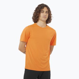 Shirt Herren Salomon Outline Tee turmeric