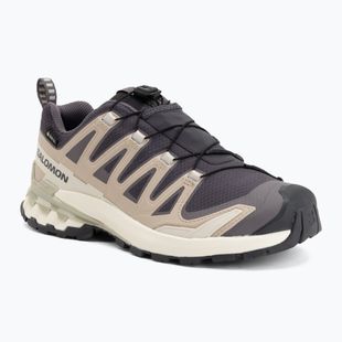 Laufschuhe für Damen Salomon XA Pro 3D V9 GTX nine iron/oxford tan
