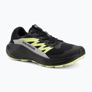 Herren-Laufschuhe Salomon Alphaglide GTX schwarz/legierung/scharfgrün