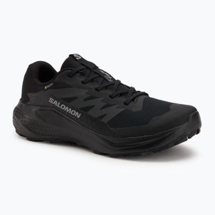 Herren-Laufschuhe Salomon Alphaglide GTX schwarz/teer/schwarz