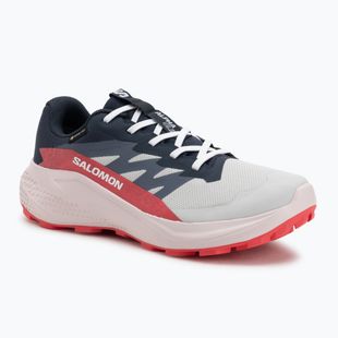 Damen-Laufschuhe Salomon Alphaglide GTX lunar rock/blue night/rouge red