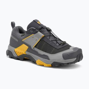 Herren-Trekking-Schuhe Salomon X ULTRA 5 GTX turbulence/monument/spicy mustard