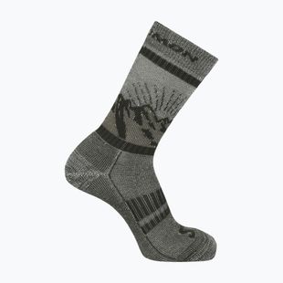 Socken Salomon Retro Wool aloe/martini olive