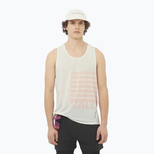 Lauf Tank Top Herren Salomon Sense Aero Singlet GFX icicle
