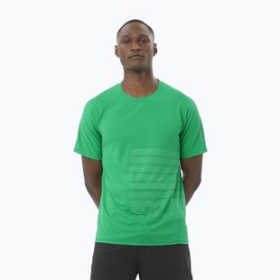 Laufshirt Herren Salomon Sense Aero Tee GFX Paarakeet / spearmintme