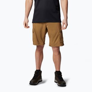 Trekking Shorts Herren Columbia Silver Ridge Utility Cargo delta