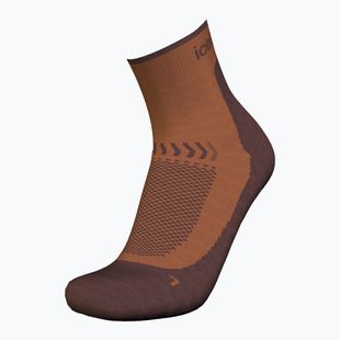 Trekking Socken Herren Icebreaker Merino Hike+ Light Mini dusty clay/carob