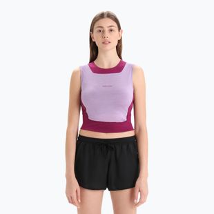 Damen Funktionsshirt icebreaker Zoneknit Cropped Bra-Tank purple gaze