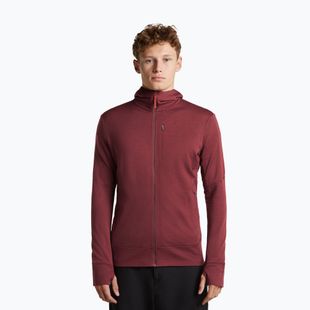 Herrenpullover Icebreaker Merino 260 Quantum IV LS Zip Hoodie port/agate