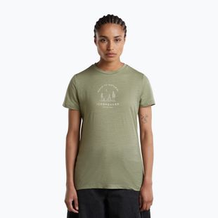 Damen Funktionsshirt Icebreaker Merino 150 Tech Lite Peaceful Pass Lichen