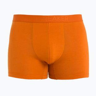 Thermo-Boxershorts für Männer Eisbrecher Anatomica Cool-Lite earth