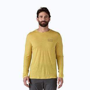 Herren Patagonia Cap Cool Merino Blend Longsleeve Grafik fitz roy strata/bündel grün