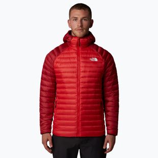 Herren Daunenjacke The North Face Bettaforca Lt Down Hoodie hohes Risiko rot/garnet rot