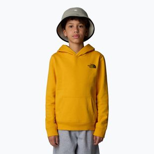 Kinder Sweatshirt The North Face Teen Redbox Regular P/O Gipfel Gold
