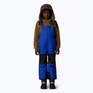 Skihose Kinder The North Face Kid Freedom Insulated Bib blue