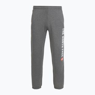 Herrenhose The North Face Varsity Graphic mittelgrau heather