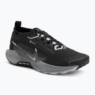 Herren-Laufschuhe Nike Pegasus Trail 5 GORE-TEX black/cool grey/anthracite/wolf grey