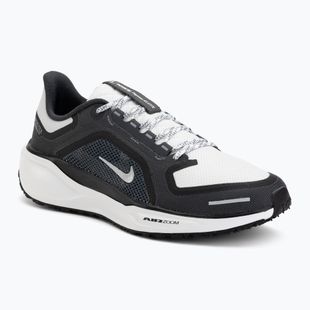 Herren-Laufschuhe Nike Pegasus 41 GTX black/anthracite/iron grey/summit white