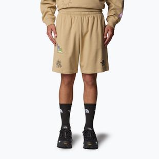 The North Face Mountain Cleanup Entspannt khaki Stein Shorts